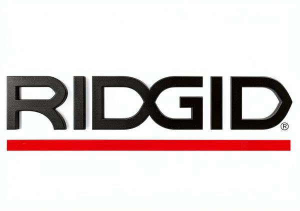 Ridgid 65742 Package of 2 Retaining Rings-0