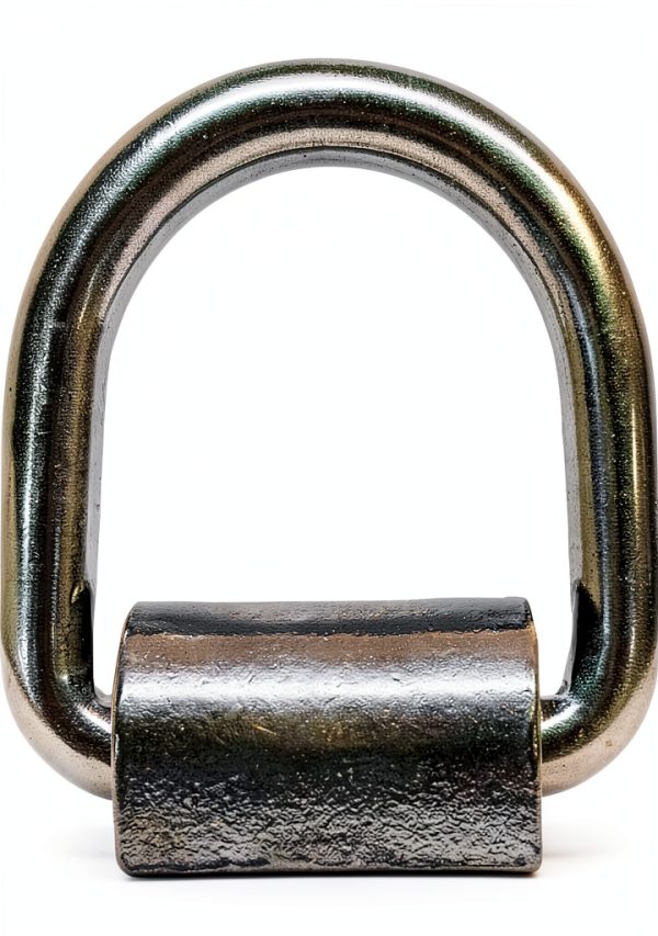 Prolinemax Stainless Steel 316 5/8" Weld-On Lashing D-Ring for Hoist-1